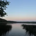 Alexandra Forest House Holiday home