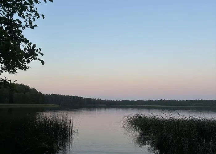 Alexandra Forest House Dom wakacyjny