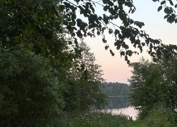 Alexandra Forest House