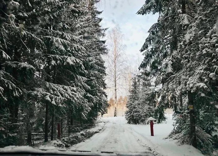 Dom wakacyjny Alexandra Forest House *